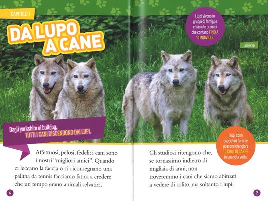 Cani. Livello 4. Ediz. a colori - Elizabeth Carney - 3