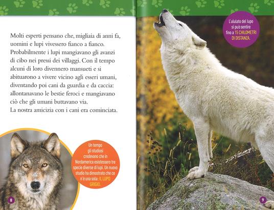 Cani. Livello 4. Ediz. a colori - Elizabeth Carney - 4