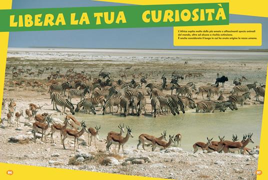 Gli animali della Savana. Libro puzzle. Ediz. a colori - 4