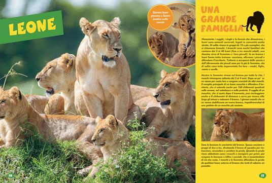 Gli animali della Savana. Libro puzzle. Ediz. a colori - 6