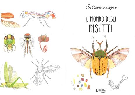 Il mondo degli insetti. Solleva e scopri - Cristina Peraboni,Cristina Banfi - 2