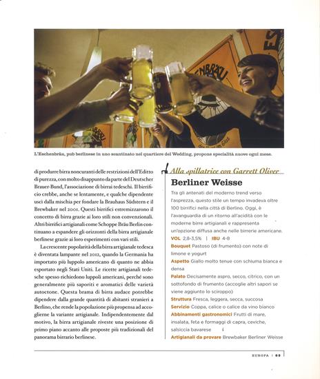Atlante della birra. Un viaggio entusiasmante nel mondo della birra - Nancy Hoalst-Pullen,Mark W. Patterson - 3
