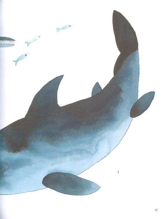 Dinosauri e altre creature preistoriche - Matt Sewell - 7