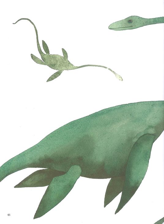 Dinosauri e altre creature preistoriche - Matt Sewell - 8