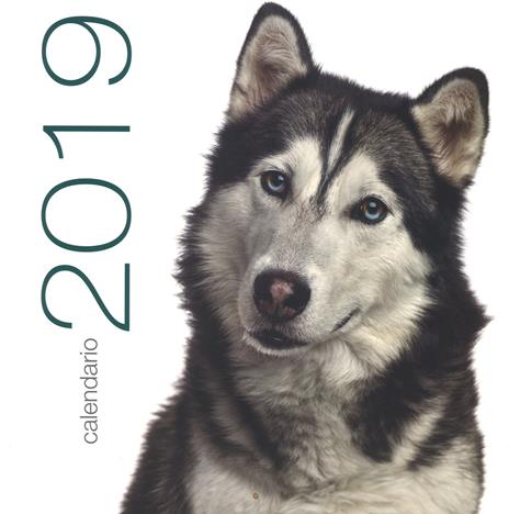 Cani. Calendario da muro 2019 - copertina