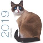 Gatti. Calendario da muro 2019