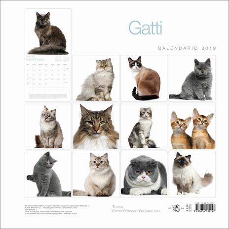 Gatti. Calendario da muro 2019 - 3