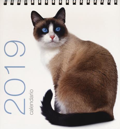 Gatti. Calendario da tavolo 2019 - copertina