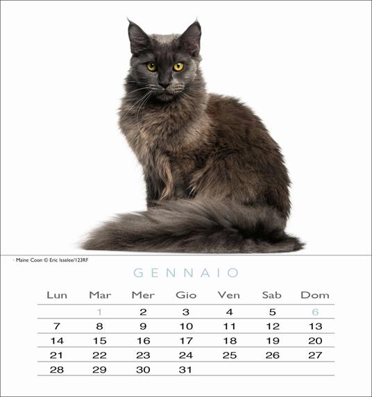Gatti. Calendario da tavolo 2019 - 2