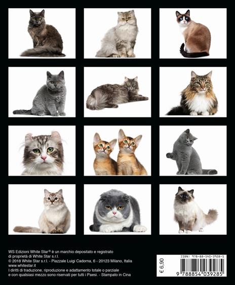 Gatti. Calendario da tavolo 2019 - 3