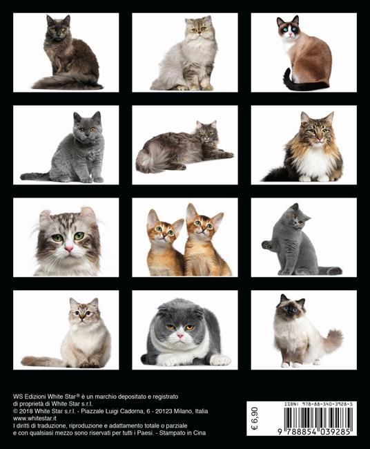 Gatti. Calendario da tavolo 2019 - 3