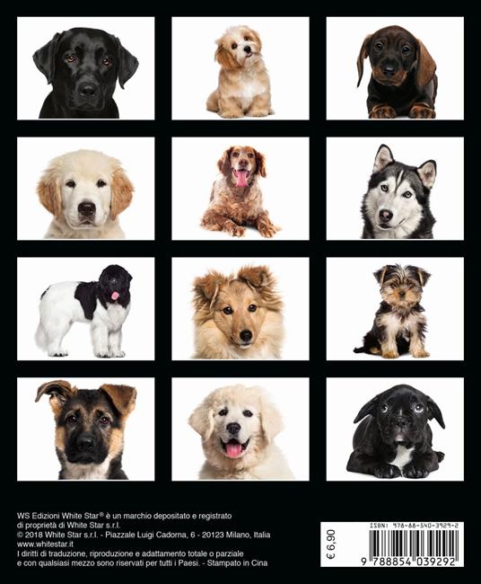 Cani. Calendario da tavolo 2019 - 3