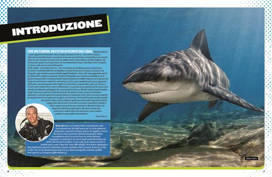 Il grande libro degli squali - Brian Skerry,Elizabeth Carney,Sarah Wassner Flynn - 4