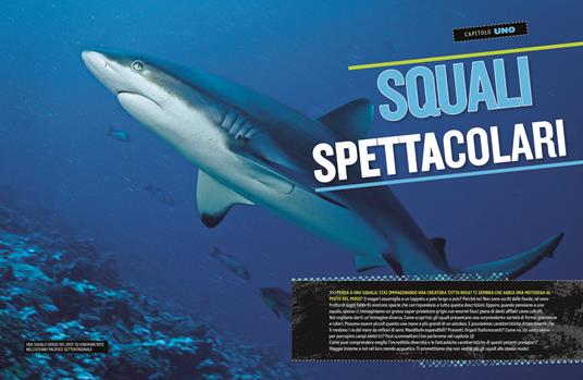 Il grande libro degli squali - Brian Skerry,Elizabeth Carney,Sarah Wassner Flynn - 5