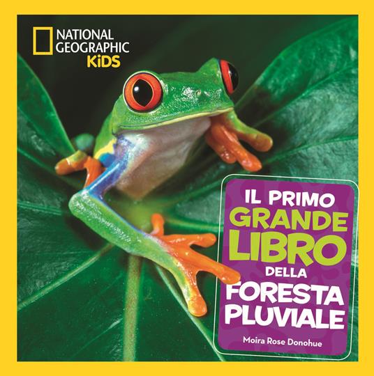 Il primo grande libro della foresta pluviale - Moira Rose Donohue - copertina