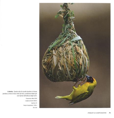 Fotografia di viaggio. Corso completo di tecnica fotografica - Sandra Petrowitz - 5