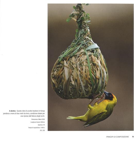 Fotografia di viaggio. Corso completo di tecnica fotografica - Sandra Petrowitz - 5