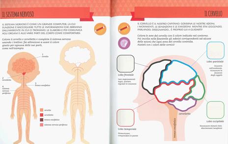 Il mio primo libro del corpo umano. Montessori un mondo di conquiste. Con adesivi. Ediz. a colori - Chiara Piroddi - 2