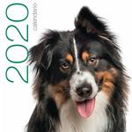 Cani. Calendario da muro 2020