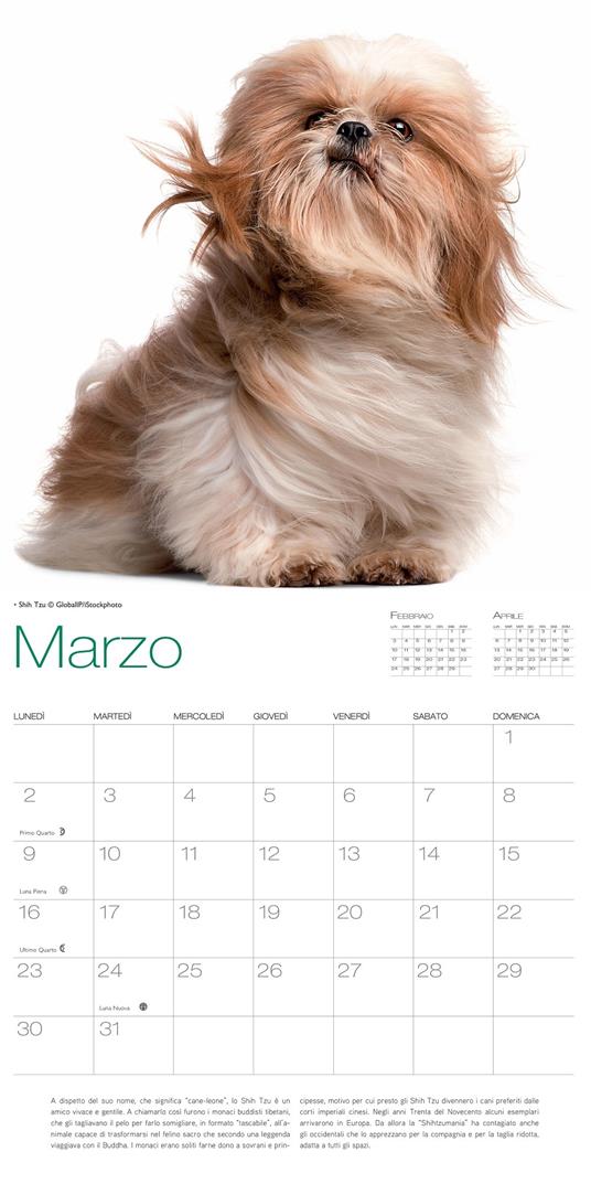 Cani. Calendario da muro 2020 - 4
