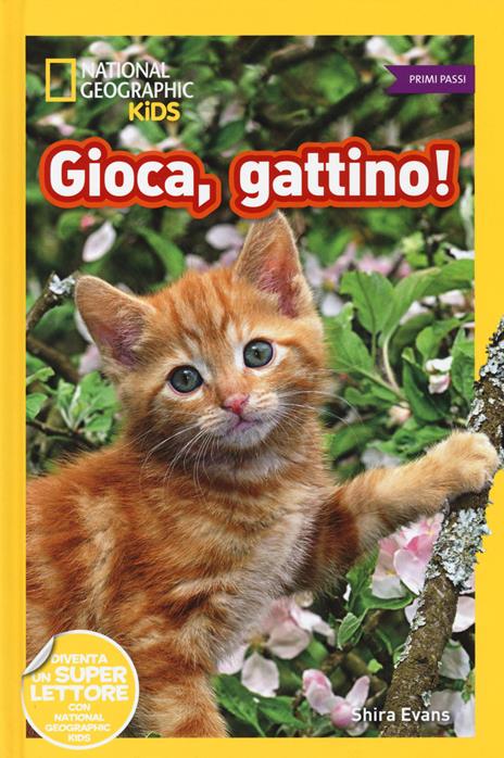 Gioca, gattino! Primi passi. Diventa un super lettore. Ediz. a colori - Shira Evans - copertina