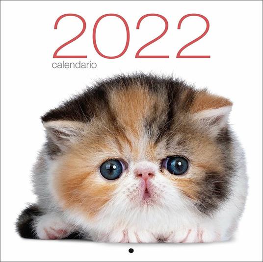 Gatti. Calendario da muro 2022 - copertina