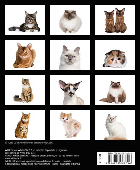 Gatti. Calendario da tavolo 2022 - 2