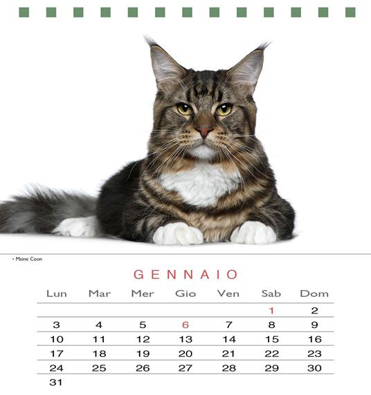 Gatti. Calendario da tavolo 2022 - 3