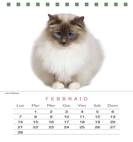 Gatti. Calendario da tavolo 2022 - 4