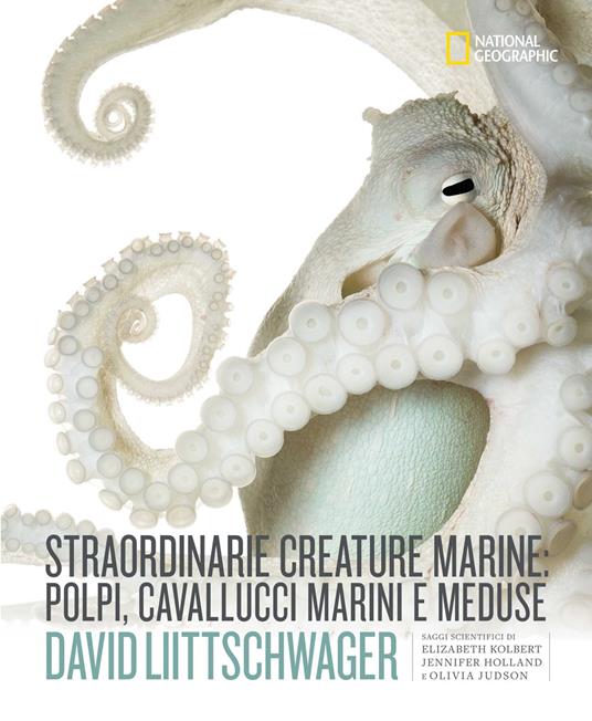 Straordinarie creature marine: polpi, cavallucci marini e meduse. Ediz. illustrata - David Liittschwager  - copertina