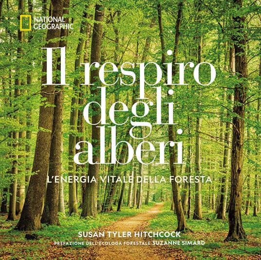 Il respiro degli alberi. L'energia vitale della foresta. Ediz. illustrata - Susan Hitchcock - copertina