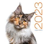 Gatti. Calendario da muro 2023