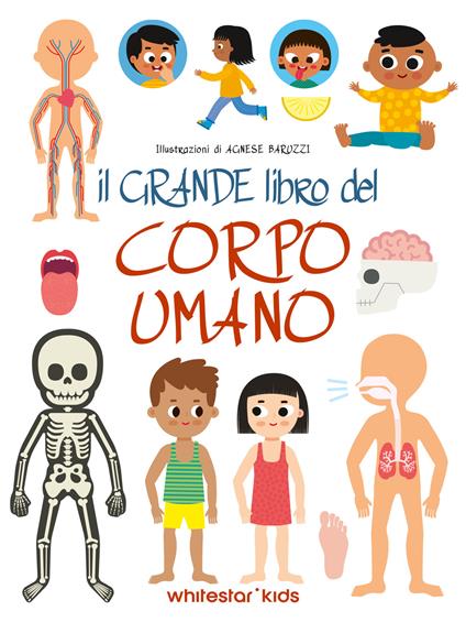 Il grande libro del corpo umano. Ediz. a colori - Agnese Baruzzi - copertina