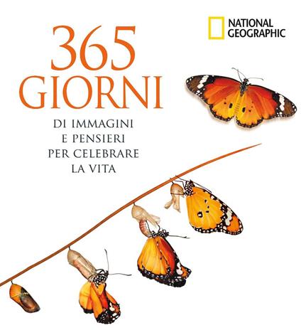 365 giorni di immagini e pensieri per celebrare la vita. Ediz. a colori - copertina