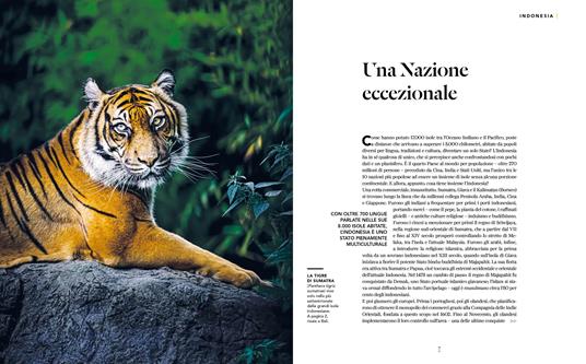 Indonesia. Bali, Sumatra, Giava, Borneo, Nuova Guinea. Paesi del mondo - 2