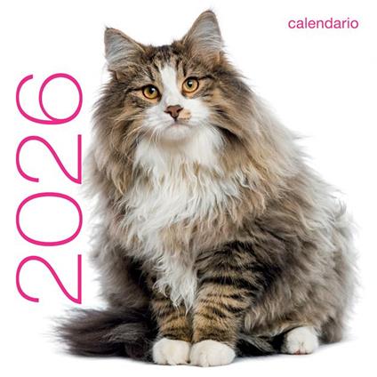 Gatti. Calendario da muro 2026 - copertina