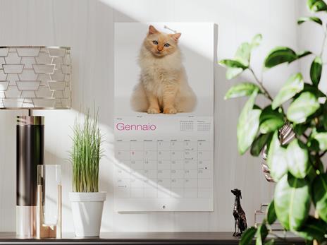 Gatti. Calendario da muro 2026 - 2