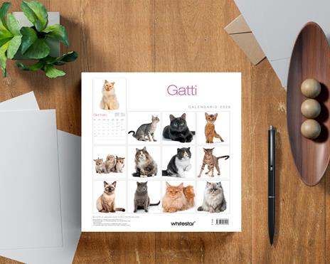 Gatti. Calendario da muro 2026 - 3