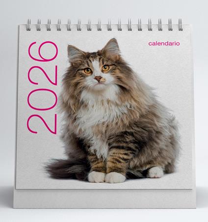 Gatti. Calendario da tavolo 2026 - copertina