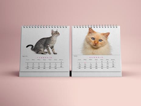 Gatti. Calendario da tavolo 2026 - 2