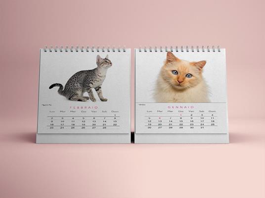 Gatti. Calendario da tavolo 2026 - 2
