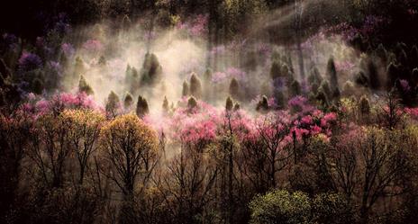 Un mondo di bellezza. Ediz. a colori - 2