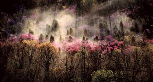 Un mondo di bellezza. Ediz. a colori - 2