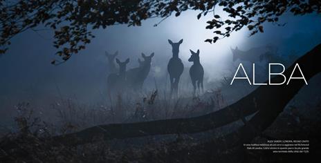 La magia della luce. Ediz. a colori - 2