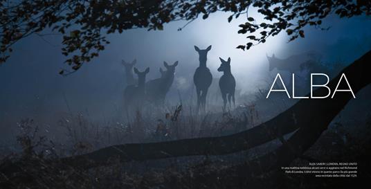 La magia della luce. Ediz. a colori - 2