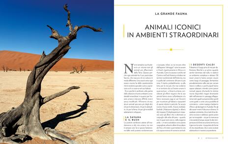 Il regno animale. Pianeta vivente - 2