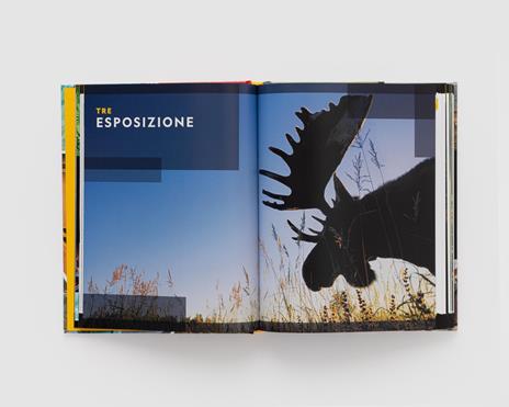 Photo basic. Guida essenziale alla fotografia - Joel Sartore - 2