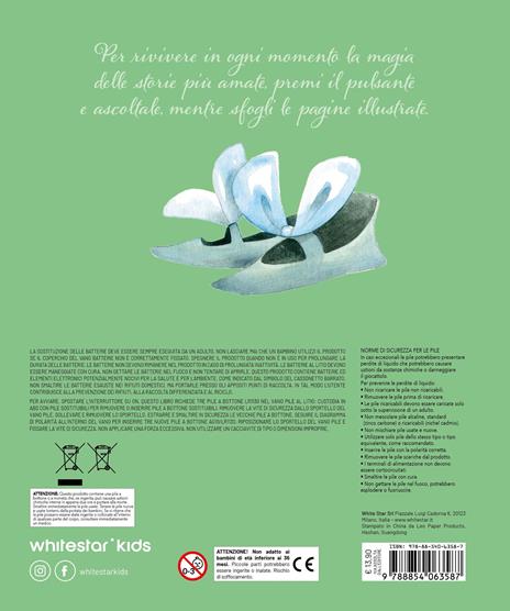 Il mago di Oz. I libri cantastorie. Ediz. a colori - 3