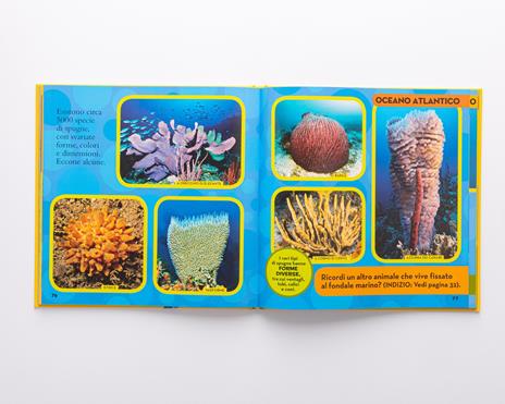 Il mio primo libro degli oceani - Catherine D. Hughes - 2