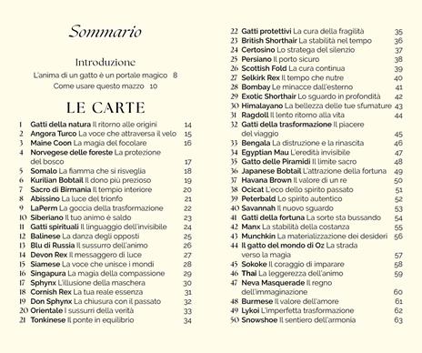 Gatti. Oracolo mistico. 50 carte. Con manuale - 3